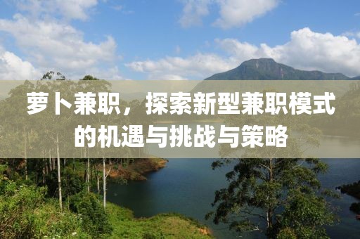 萝卜兼职，探索新型兼职模式的机遇与挑战与策略