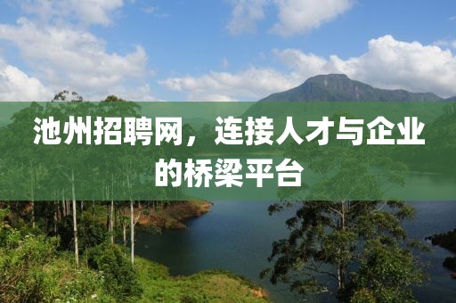 池州招聘网，连接人才与企业的桥梁平台