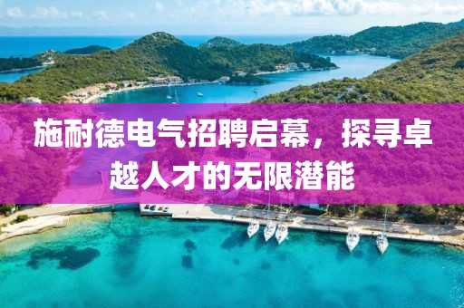 施耐德电气招聘启幕，探寻卓越人才的无限潜能