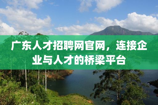 广东人才招聘网官网，连接企业与人才的桥梁平台