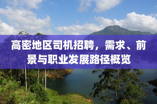 高密地区司机招聘，需求、前景与职业发展路径概览